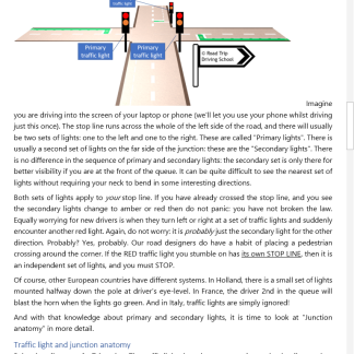 The secret guide to traffic lights (workbook)