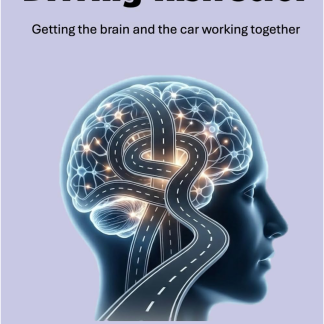 The Inside-Out Driving Instructor (SSADI)